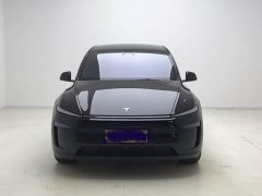 Tesla Model Y L 2025 Long Range All-Wheel Drive - ფოტო 2