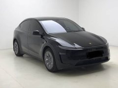Tesla Model Y L 2025 Long Range All-Wheel Drive - ფოტო 7