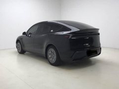 Tesla Model Y L 2025 Long Range All-Wheel Drive - ფოტო 8