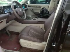 Leapmotor Leapo C11 Extended Range 300 Deluxe Edition - ფოტო 14
