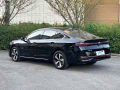 Volkswagen Magotan 2024 300TSI DSG Prestige Edition with Eye-Catching Package - ფოტო 7