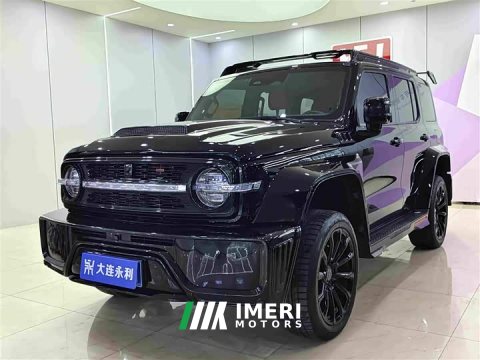2023 GWM 300 2.0T Cyber Knight - ავტომობილი ჩინეთიდან