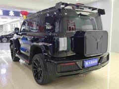 GWM 300 2.0T Cyber Knight - ფოტო 14