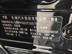 GWM 300 2.0T Cyber Knight - ფოტო 16