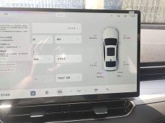 Geely Xingrui 2026 Oriental Radiance 2.0T Diesel Moonlight Edition - ფოტო 11