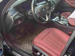BMW 5 Series 530Li Leading Edition Luxury Package - ფოტო 4