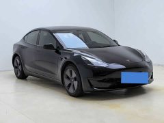 Tesla Model 3 Rear-Wheel Drive - ფოტო 3