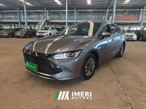 2024 BYD Qin PLUS Glory Edition DM-i 55KM Leading