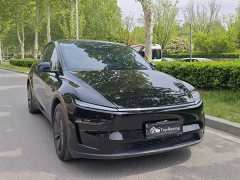 Tesla Model Y Rear-Wheel Drive - ფოტო 3