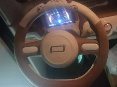 FAW Besturn Xiaoma 222km Colorful Edition - ფოტო 15