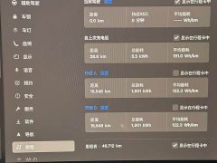 Tesla Model 3 2023 Rear-Wheel Drive - ფოტო 15