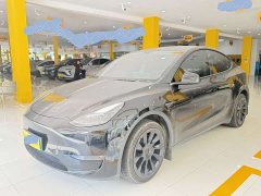 Tesla Model Y Long Range All-Wheel Drive - ფოტო 1