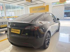 Tesla Model Y Long Range All-Wheel Drive - ფოტო 11