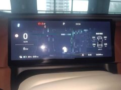 ORA Good Cat 430km Deluxe Edition - ფოტო 15