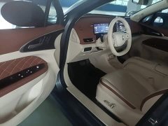 ORA Good Cat 430km Deluxe Edition - ფოტო 20