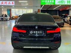 BMW 5 Series 530Li Premier M Sport Package - ფოტო 8