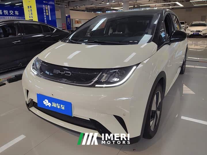 BYD Dolphin 420km Fashion Edition - ავტომობილი ჩინეთიდან