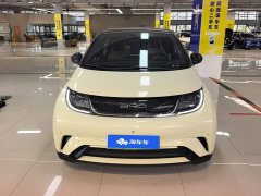 BYD Dolphin 420km Fashion Edition - ფოტო 2