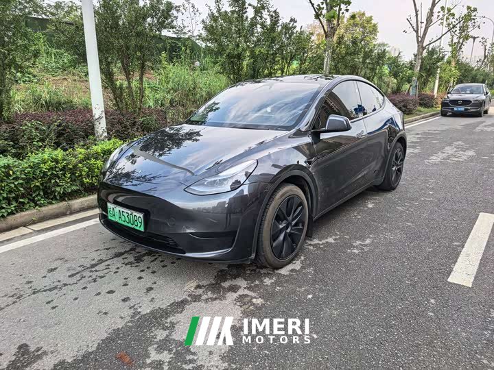 Tesla Model Y Rear-Wheel Drive - ავტომობილი ჩინეთიდან