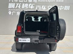 Tank 300 2.0T Explorer - ფოტო 15