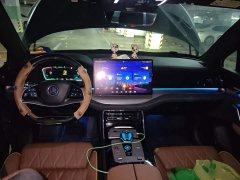 BYD Tang New Energy 2021 DM-i 112KM Premium Edition - ფოტო 10