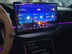 BYD Tang New Energy 2021 DM-i 112KM Premium Edition - ფოტო 14
