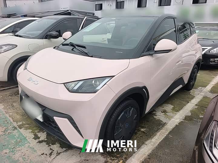 BYD Seagull 305km Vitality Edition