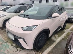 BYD Seagull 2025 305km Vitality Edition - ფოტო 1