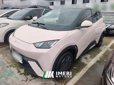 2024 BYD Seagull 305km Vitality Edition