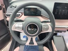 BYD Seagull 2025 305km Vitality Edition - ფოტო 10
