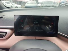 BYD Seagull 2025 305km Vitality Edition - ფოტო 11