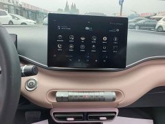 BYD Seagull 2025 305km Vitality Edition - ფოტო 12