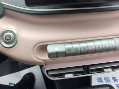 BYD Seagull 2025 305km Vitality Edition - ფოტო 13
