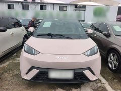 BYD Seagull 2025 305km Vitality Edition - ფოტო 2