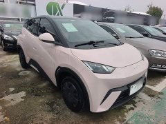 BYD Seagull 2025 305km Vitality Edition - ფოტო 3