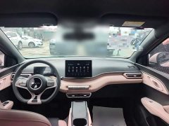 BYD Seagull 2025 305km Vitality Edition - ფოტო 9
