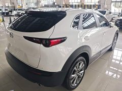 Mazda CX-30 2020 2.0L Automatic Jia Yue Edition - ფოტო 6