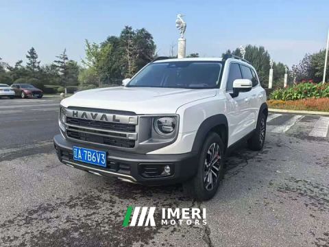 2024 Great Wall Dachshund 1.5T DCT Border Collie Edition - автомобиль из Китая