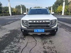 Great Wall Dachshund 1.5T DCT Border Collie Edition - ფოტო 2