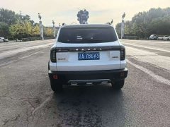Great Wall Dachshund 1.5T DCT Border Collie Edition - ფოტო 8