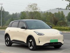 Geely Xing Yuan 310km Dream Edition - ფოტო 3