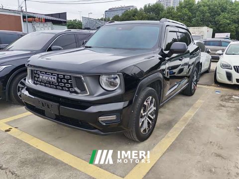 2023 Haval Big Dog PLUS 1.5T Two-Wheel Drive Trendy Wilderness Edition Plus - ავტომობილი ჩინეთიდან