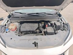 Dongfeng Fengxing T5 EVO 2021 1.5T Diesel DCT Platinum Edition - ფოტო 10