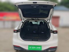 Dongfeng Fengxing T5 EVO 2021 1.5T Diesel DCT Platinum Edition - ფოტო 9
