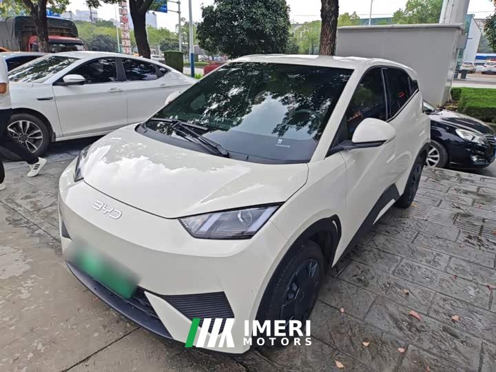BYD Seagull Smart Drive 305km Vitality Edition