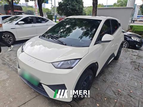 2026 BYD Seagull Smart Drive 305km Vitality Edition