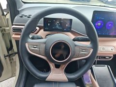 BYD Seagull 2025 Smart Drive 305km Vitality Edition - ფოტო 10