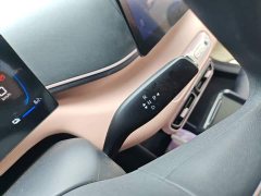 BYD Seagull 2025 Smart Drive 305km Vitality Edition - ფოტო 13
