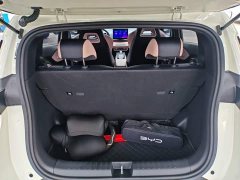 BYD Seagull 2025 Smart Drive 305km Vitality Edition - ფოტო 18