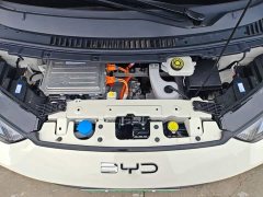 BYD Seagull 2025 Smart Drive 305km Vitality Edition - ფოტო 19